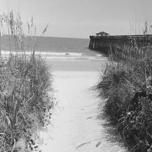 Meet your Posher, Katrina